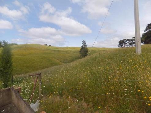 1801 Omana Road, Tangiteroria