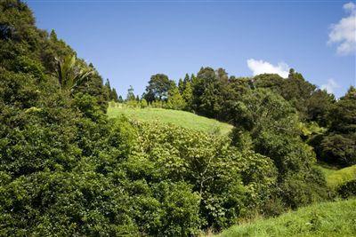 53 O'Brien Road, Lucas Heights