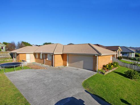 92 Pitt Avenue, Clendon Park