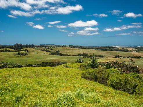 97 Lawrence Road, Mangawhai