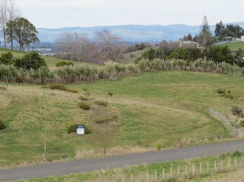 21 Quail Avenue, Feilding