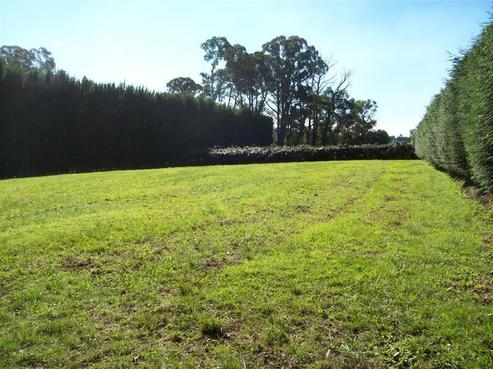 1 Kelston Way, Tauriko