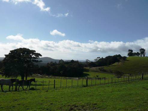 967 Pataua North Road, Whareora