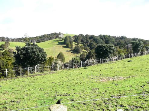 969 Pataua North Road, Whareora