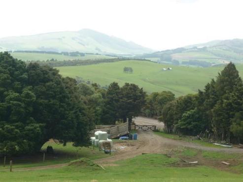 102 Mangatu Road, Dargaville Surrounds