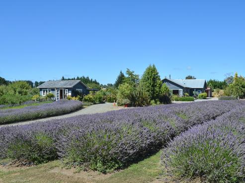 554 Apirana Road, Horohoro