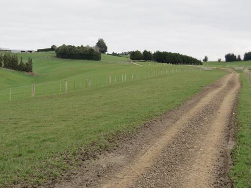 703 Merino Downs Road, Gore Surrounds