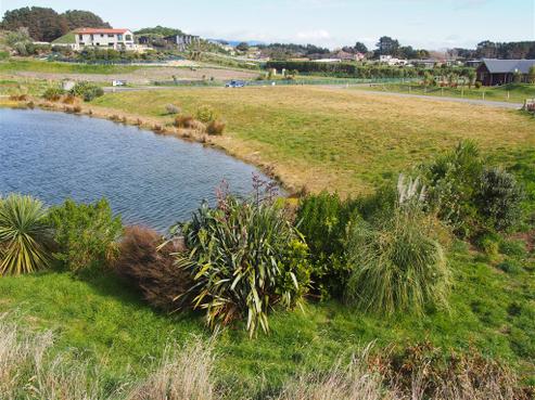 91 Raukawa Road, Peka Peka