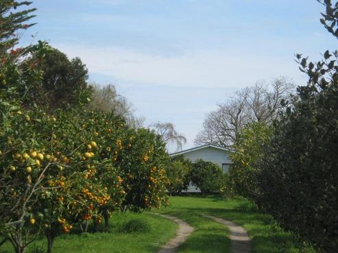 6176 State Highway 10, Awanui