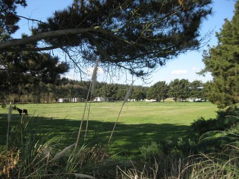 238 Wylie Road, Foxton