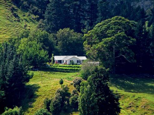 4783 Tiniroto Road, Tiniroto