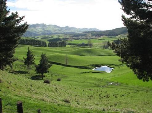 279 Mackenzie Road, Havelock North