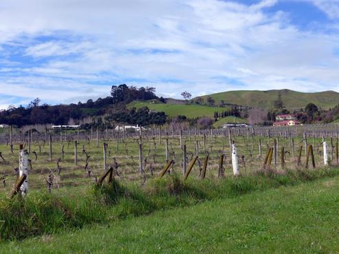 22 Fulford Road, Havelock North