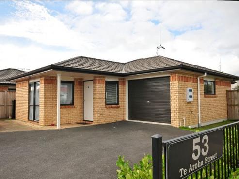 53A Te Aroha Street, Hamilton East