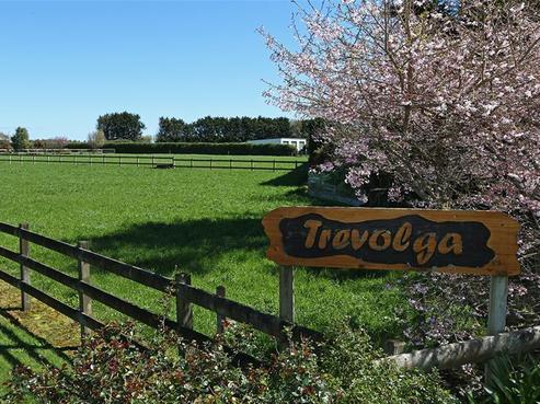 21 Arthur Street, Hawera
