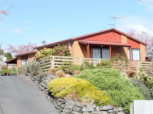 50B Hillary Street, Liberton