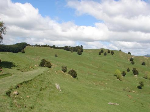 184 Lairdvale Road, Taumarunui