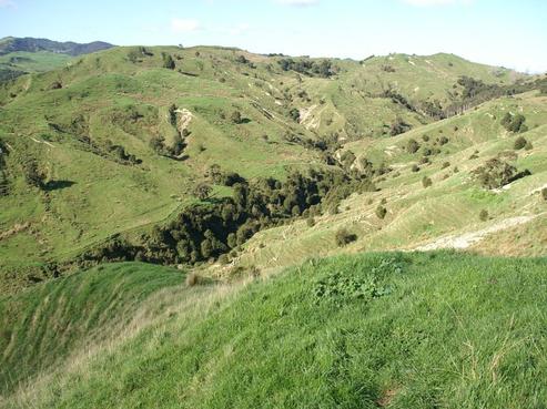 964 Mangapoike Road, Wairoa