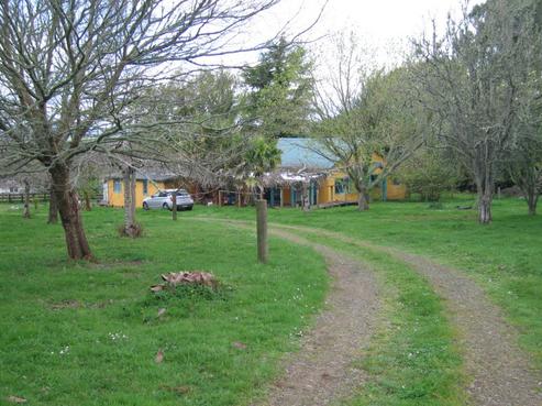 167 Parsons Road, Onewhero