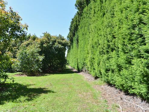 817 Otaika Valley Road, Maungatapere