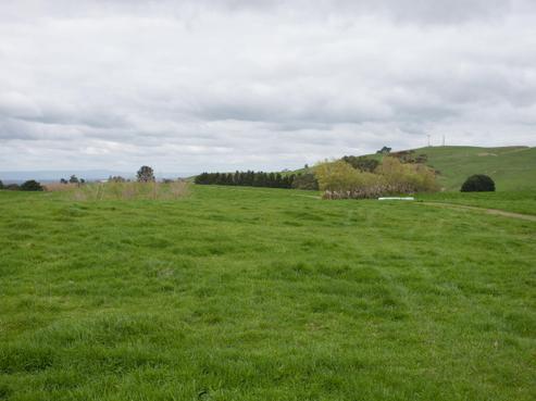 637 Quine Road, Tahuna