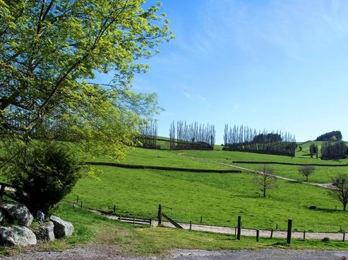 230 Te Kopia Road, Waikite Valley