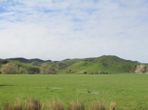 3 Marainanga Road, Pongaroa