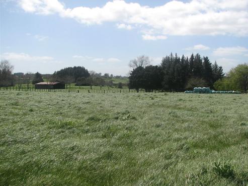 3349 Ohaupo Road, Rukuhia