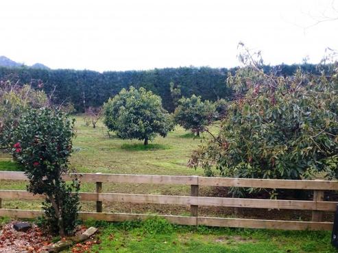71A Parakiwai Quarry Road, Whangamata