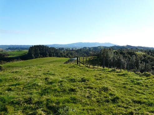 410 Honikiwi Road, Otorohanga