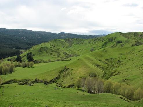 320 Flat Hill Road, Tutira