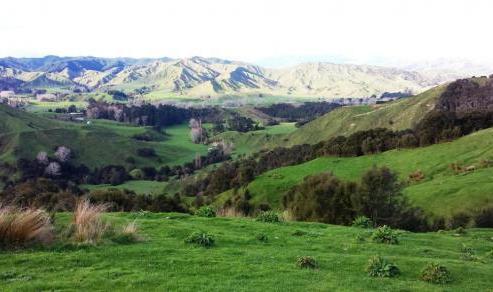 1005 Awamate Road, Wairoa