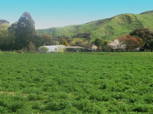 198 Awamate Road, Wairoa