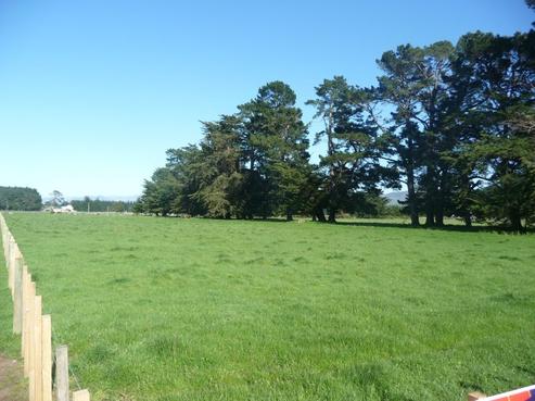 1923B State Highway 2, Featherston