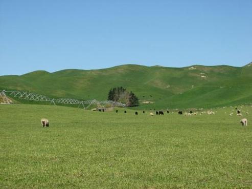 325 Turamoe Road, Pakipaki