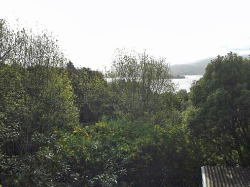 9 Treetop Drive, Portobello