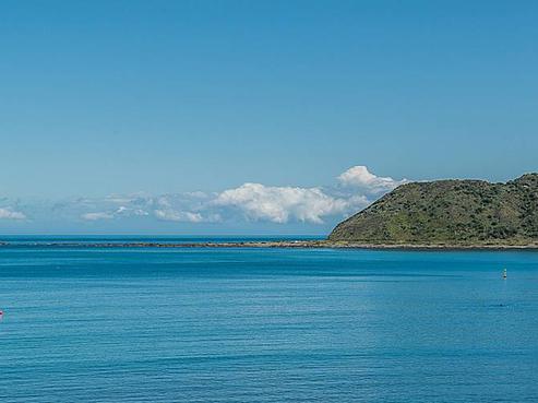 37 Moa Point Road, Lyall Bay