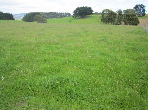 16C Hermitage Road, Waiuku