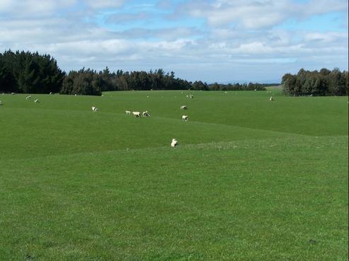 564 Stanway Road, Halcombe