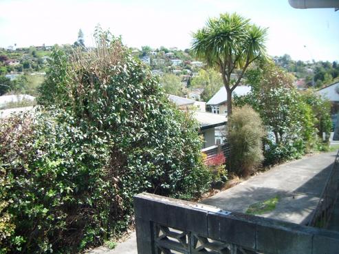 2/20 Van Diemen Street, Nelson South