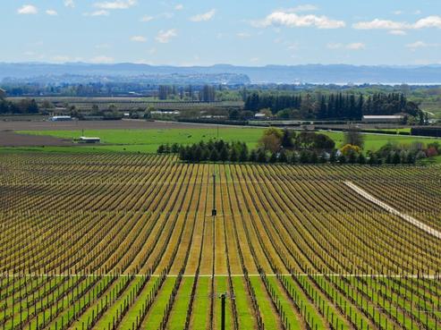 350 Te Mata Road, Havelock North