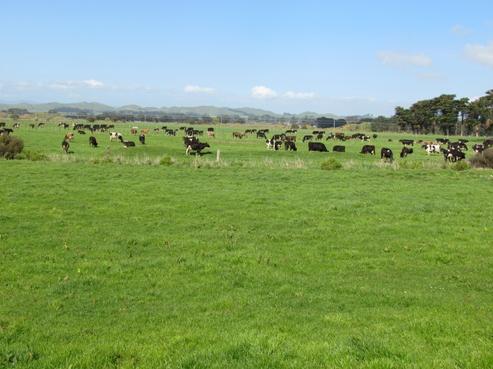 121 Doughertys Road, Eketahuna