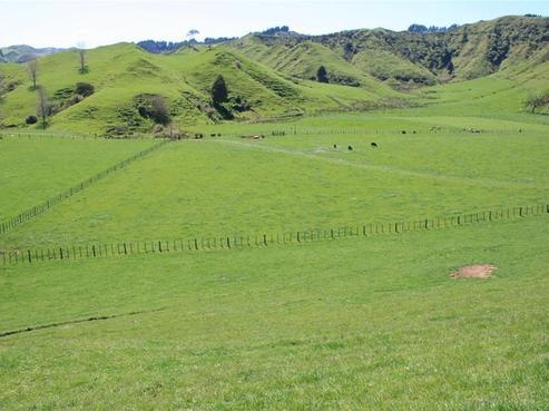 824 Toko Road, Douglas