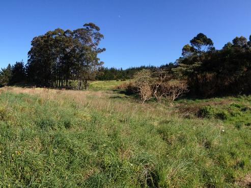 268 Kapiro Road, Kerikeri