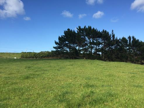 12 Marshall Road, Manukau Heads