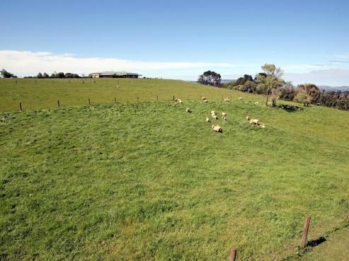 196 Hill Top Road, Pukekohe