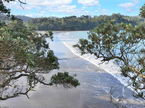 1/541 Hibiscus Coast Highway, Hatfields Beach