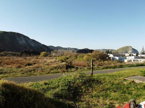 425 Ormond Drive, Mahia