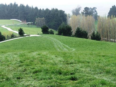 100 Mcphee Road, North Otago
