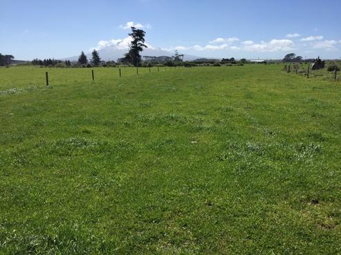 1765 Skeet Road, Manaia